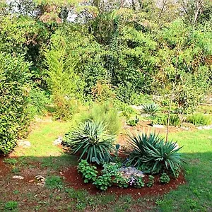https://jelena.in-istria.net